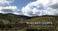 Portawe lelfvn, territorio espiritual de la vida mapuche
